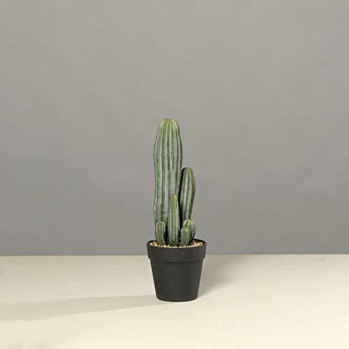 mucplants Künstlicher Kaktus in schwarzem Kunststofftopf Höhe:40cm Kunstpflanze Zimmerpflanze Deko Kakteen von mucplants