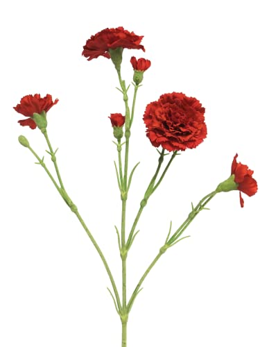 mucplants Künstlicher Nelkenstecker Rot Höhe ca. 62cm Nelke Seidenblumen Kunstblumen künstliche Blumen von mucplants