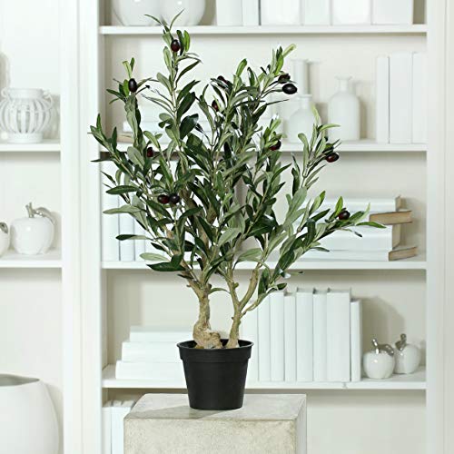 mucplants Künstlicher Olivenbaum mit ca. 14 schwarzen Oliven im schwarzen Topf Höhe 65cm Topfpflanze Kunstpflanze Olive von mucplants