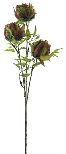 mucplants Künstlicher Protea-Stecker ca. 73 cm Zuckerbüsche Seidenblume Kunstblume Silberbaum Kaprosen Federbüsche Kunstblume Stecker (Lila/Gelb) von mucplants