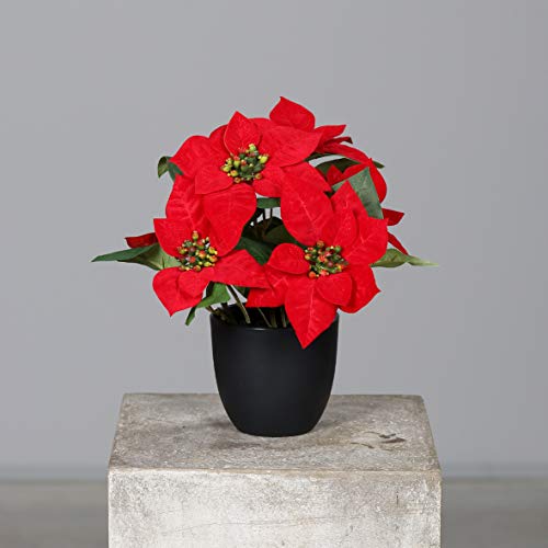 mucplants Künstlicher Weihnachtsstern Poinsettie Rot 29cm im schwarzen Kunststofftopf Kunstpflanze Dekopflanze von mucplants