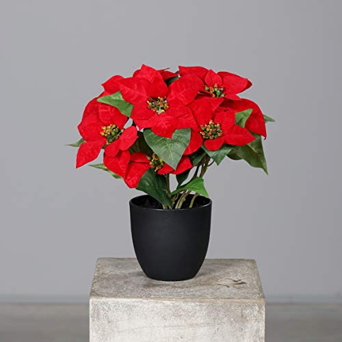 mucplants Künstlicher Weihnachtsstern Poinsettie Rot 37cm im schwarzen Kunststofftopf Kunstpflanze Dekopflanze von mucplants