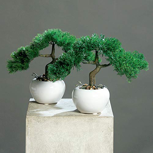 mucplants Künstliches 2er Bonsai-Set Zeder und Kiefer ca. 25cm im weißen Keramiktopf Kunstpflanzen künstlicher Baum von mucplants