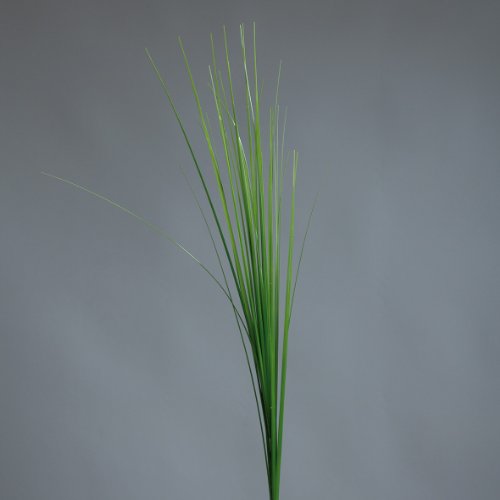 mucplants Kunstgras 72cm Graszweig kunstliches Gras Dekogras Kunstblumen Ziergras von mucplants