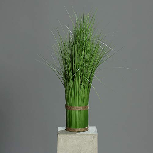 mucplants Kunstgras Stehgras Grasarrangement, 60cm, Durchmesser 10cm Reisgras Stehgrasbündel Grasbündel von mucplants