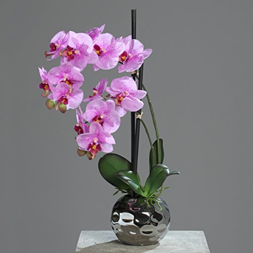 mucplants Orchidee Kunstpflanze Phalaenopsis Pink mit Real-Touch-Beschichtung H. 50cm Keramiktopf Silber Kunstblume von mucplants