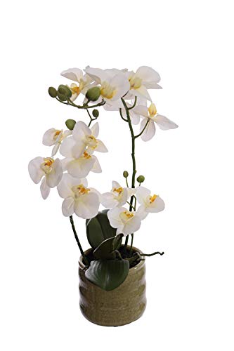 mucplants Orchidee Real Touch 50cm weiß im Keramiktopf Kunstblumen künstliche Orchidee von mucplants
