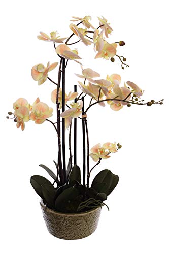 mucplants Orchidee Real Touch 70cm Peach im Keramiktopf Kunstblumen künstliche Orchidee von mucplants