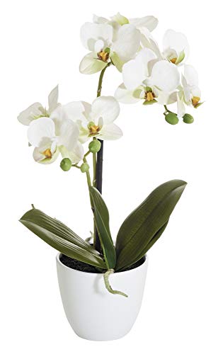 mucplants Orchidee Real Touch weiß 40cm im weißen Topf Kunstblumen Kunstpflanzen künstliche Orchidee von mucplants