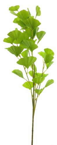 mucplants künstliche Ginkgo Pflanze Ginkgozweig Stecker Blume ca. 91cm Grün von mucplants
