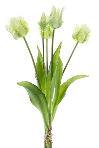 mucplants künstliche Tulpen 40cm Crispa gefranst Tulpenbündel mit 3 Tulpen und 2 Tulpenknospen real Touch (Creme) von mucplants