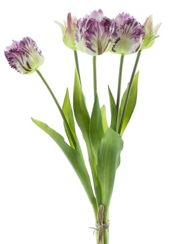 mucplants künstliche Tulpen 40cm Crispa gefranst Tulpenbündel mit 3 Tulpen und 2 Tulpenknospen real Touch (Lila) von mucplants