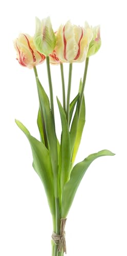 mucplants künstliche Tulpen 40cm Crispa gefranst Tulpenbündel mit 3 Tulpen und 2 Tulpenknospen real Touch (Rot) von mucplants