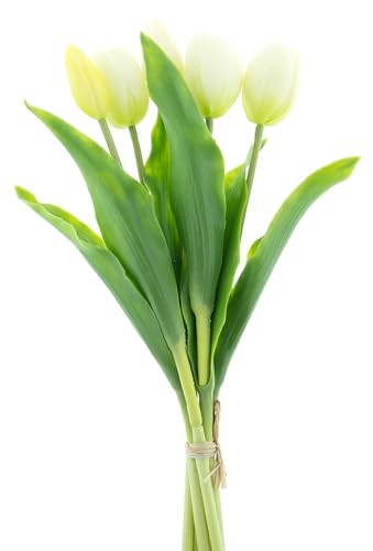 mucplants künstliche Tulpen Holland ca. 36cm Tulpenbündel mit 3 Tulpen und 2 Tulpenknospen real Touch (Creme-weiß) von mucplants