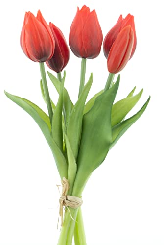 mucplants künstliche Tulpen ca. 26cm Tulpenbündel mit 3 Tulpen und 2 Tulpenknospen real Touch (Rot) von mucplants