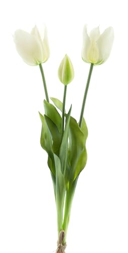 mucplants künstliche offene Tulpen 48cm Open Tulpenbündel mit 2 Tulpen und 1 Tulpenknospe real Touch (Creme-weiß) von mucplants