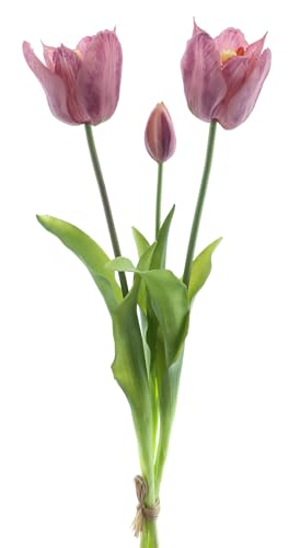 mucplants künstliche offene Tulpen 48cm Open Tulpenbündel mit 2 Tulpen und 1 Tulpenknospe real Touch (Lila) von mucplants