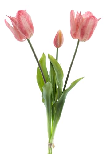 mucplants künstliche offene Tulpen 48cm Open Tulpenbündel mit 2 Tulpen und 1 Tulpenknospe real Touch (Rosa) von mucplants