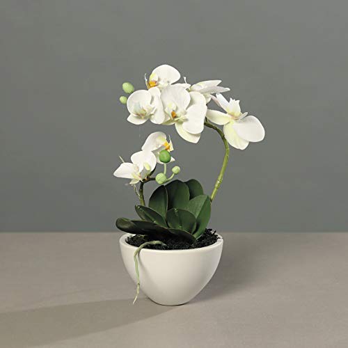 mucplants künstliche wunderschöne Orchidee Phalaenopsis Weiß mit Real-Touch-Beschichtung H. 35cm in Keramikschale Creme Kunstblume Kunstpflanze Dekopflanze von mucplants