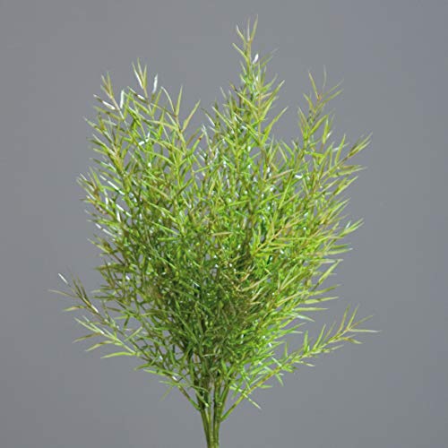 mucplants künstlicher Asparagus-Buschstecker ca. 35cm mit praktischen Steckstab Kunstpflanze für Ihr Zuhause von mucplants