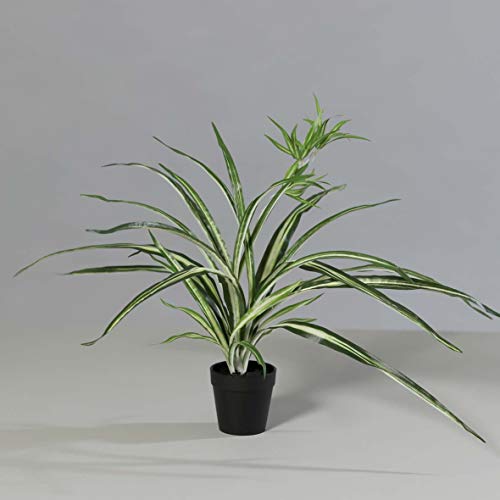 mucplants künstlicher Chlorophytum Grünlilie Kunstpflanze im schwarzen Kunststofftopf ca. 59cm Zimmerpflanze von mucplants
