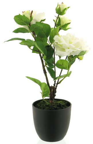 mucplants künstlicher Rosenstock 38cm im schwarzen Kunststofftopf Dekopflanze (Weiß) von mucplants