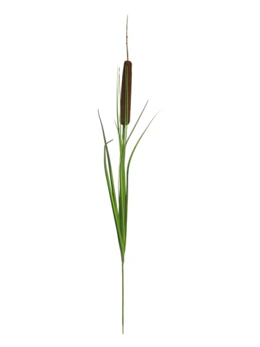 mucplants künstlicher Schilfkolben Stecker Schilfgras Typha Rohrkolben ca. 90 cm Kunstpflanze Wasserpflanze von mucplants