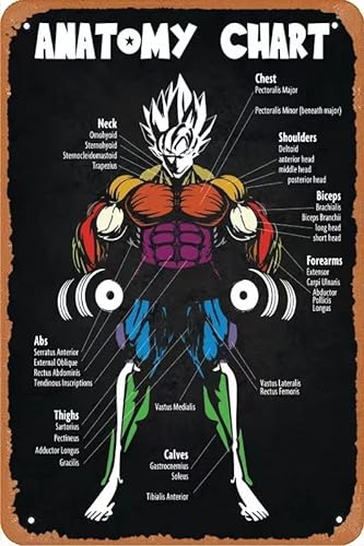 muecddoa Anime Muscle Chart Diagramm Metall Blechschild 20,3 x 30,5 cm Anime Motivation Vintage Poster Man Cave Dekorativ 20,3 x 30,5 cm von muecddoa