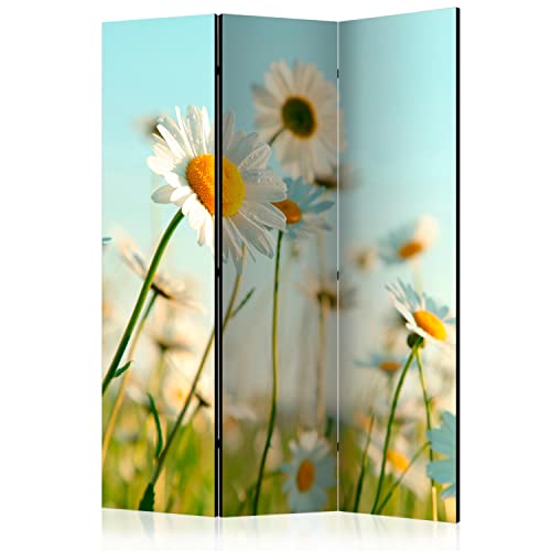 murando Akusticher Raumteiler Natur Foto Paravent 135x172 cm beidseitig auf Vlies-Leinwand Bedruckt Akustikschaum Trennwand Spanische Wand Sichtschutz Home Office Wiese Blumen b-C-0471-z-b von murando