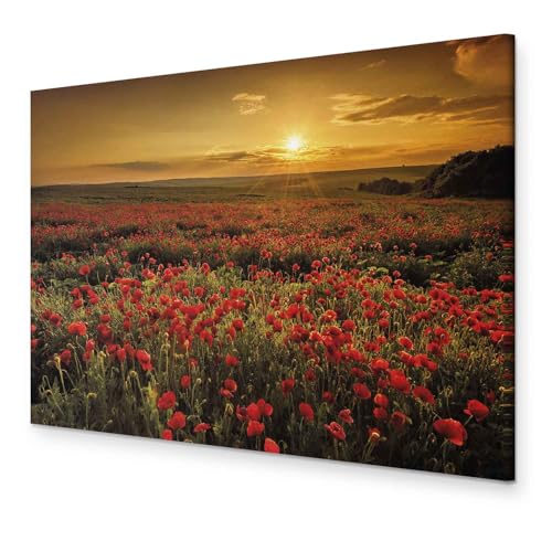 murando - Akustikbild Mohnblumen Feld 120x80 cm 1 tlg Bilder Akustikschaum Schallschutz Kunst Akustikpaneele Wandpaneele Schalldämmung Wandbild Schallabsorber Landschaft Natur c-B-0639-b-a von murando