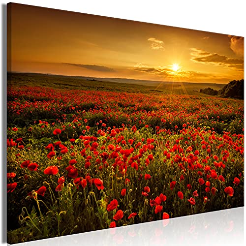 murando - Akustikbild Mohnblumen Feld 90x60 cm 1 tlg Bilder Akustikschaum Schallschutz Kunst Akustikpaneele Wandpaneele Schalldämmung Wandbild Schallabsorber Landschaft Natur c-B-0639-b-a von murando