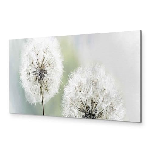 murando - Akustikbild Pusteblume 120x40 cm 1 tlg Bilder Akustikschaum Schallschutz Akustikpaneele Wandpaneele Schalldämmung Wandbild Schallabsorber Akustikplatten Blumen Natur Grau b-B-0223-b-c von murando