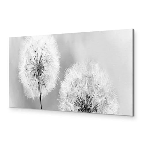 murando Akustikbild Pusteblume Bilder Akustikschaum Hochleistungsschallabsorber Schallschutz Leinwand 1 tlg Wandbild Raumakustik Schalldämmung Blumen Natur grau b-B-0223-b-b von murando