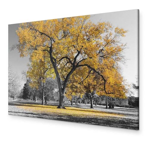murando - Wandbilder XXL Baum 90x60 cm Leinwandbild 1 tlg Kunstdruck modern Wandbilder XXL Wanddekoration Design Wand Bild - Bäume Natur Landschaft schwarz weiß gelb c-B-0445-b-c murando - Wandbilder XXL Baum 90x60 cm Leinwandbild 1 tlg Kunstdruck modern Wandbilder XXL Wanddekoration Design Wand Bild - Bäume Natur Landschaft schwarz weiß gelb c-B-0445-b-c von murando