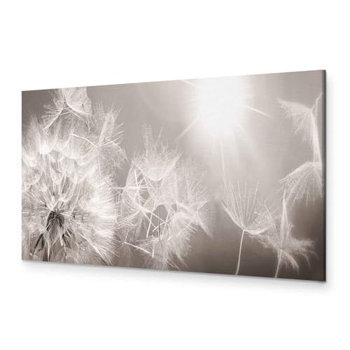 murando - Bilder Blumen 90x30 cm Vlies Leinwandbild 1 tlg Kunstdruck modern Wandbilder XXL Wanddekoration Design Wand Bild Panoramabild - Blitz Pusteblumen Natur b-C-0161-b-a von murando