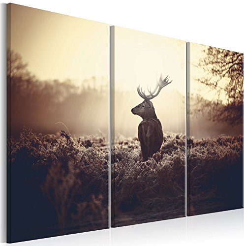 murando - Bilder Hirsch 120x80 cm Vlies Leinwandbild 3 Teilig Kunstdruck modern Wandbilder XXL Wanddekoration Design Wand Bild - Natur Landschaft Tier g-B-0045-b-h von murando