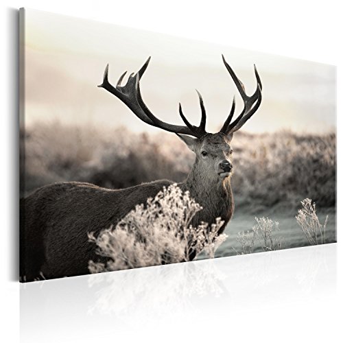 murando - Bilder Hirsch 60x40 cm Leinwandbild 1 tlg Kunstdruck modern Wanbilder XXL Wanddekoration Design Wand Bild Tiere Natur g-B-0054-b-d von murando