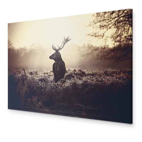 murando - Bilder Hirsch 90x60 cm Vlies Leinwandbild 1 tlg Kunstdruck modern Wandbilder XXL Wanddekoration Design Wand Bild - Natur Tier Landschaft g-B-0046-b-d von murando