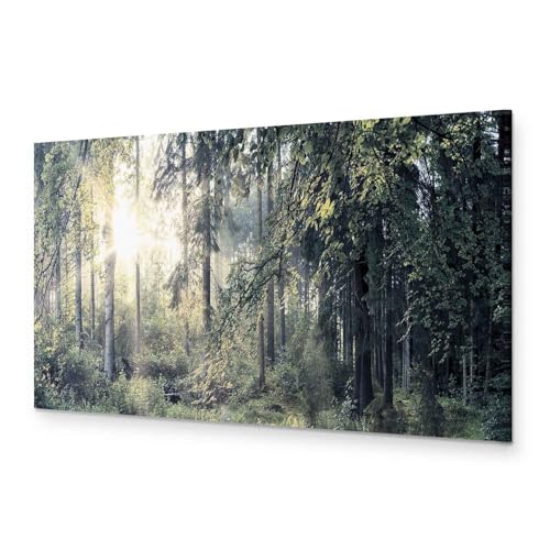 murando - Bilder Landschaft 120x40 cm Vlies Leinwandbild 1 tlg Kunstdruck modern Wandbilder XXL Wanddekoration Design Wand Bild Panoramabild - Sonnenstrahlen Natur Wald Bäume von murando