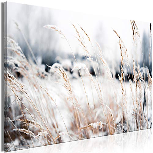 murando - Bilder Natur 60x40 cm Leinwandbild 1 tlg Kunstdruck modern Wandbilder XXL Wanddekoration Design Wand Bild - Winter Pflanzen Wiese Schnee b-B-0507-b-a von murando