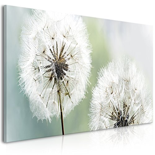 murando - Bilder Pusteblume 100x45 cm Vlies Leinwandbild 1 tlg Kunstdruck modern Wandbilder XXL Wanddekoration Design Wand Bild Panoramabild - Blumen Natur grau grün Löwenzahn von murando