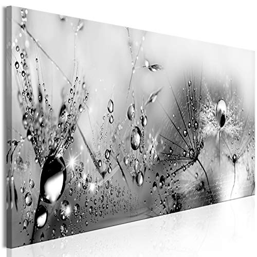 murando - Bilder Pusteblume 120x40 cm Vlies Leinwandbild 1 tlg Kunstdruck modern Wandbilder XXL Wanddekoration Design Wand Bild Panoramabild - Natur Wassertropfen grau a-A-0474-b-a von murando