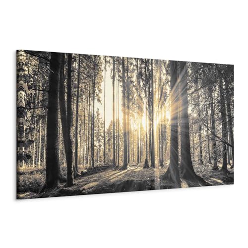 murando - Wandbilder XXL Wald 135x45 cm 1 tlg Wand Deko Leinwand Bilder Groß Wanddeko Wohnzimmer Schlafzimmer Kunstdrucke Panoramabild - Waldlandschaft Natur Bäume Sonnenaufgang c-B-0077-b-c von murando