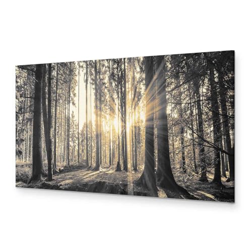 murando - Wandbilder XXL Wald 90x30 cm 1 tlg Wand Deko Leinwand Bilder Groß Wanddeko Wohnzimmer Schlafzimmer Kunstdrucke Panoramabild - Waldlandschaft Natur Bäume Sonnenaufgang c-B-0077-b-c von murando