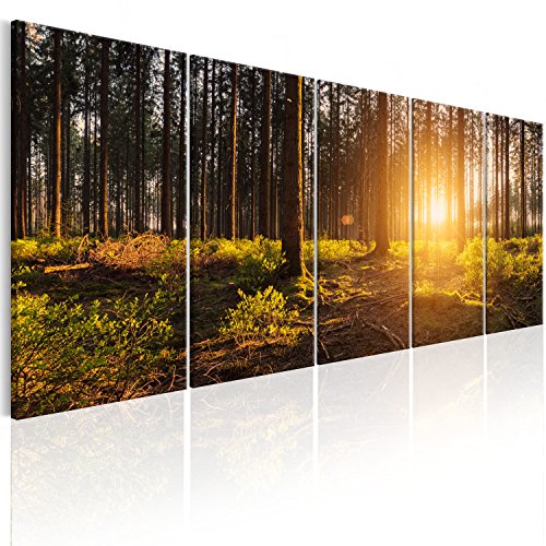 murando - Bilder Wald Landschaft 150x60 cm Vlies Leinwandbild 5 tlg Kunstdruck modern Wandbilder XXL Wanddekoration Design Wand Bild - Natur c-B-0293-b-m von murando