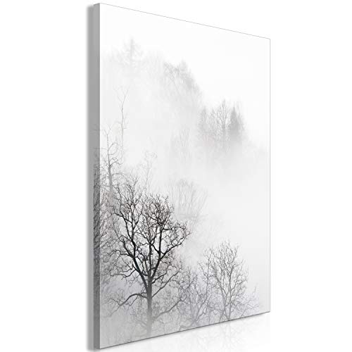 murando - Bilder Wald Nebel 40x60 cm Vlies Leinwandbild 1 tlg Kunstdruck modern Wandbilder Wanddekoration Design Wand Bild - schwarz weiß Bäume Natur b-B-0355-b-a von murando