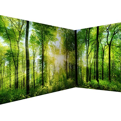 murando Eckfototapete Wald 550x250 cm Vlies Tapeten Wandtapete XXL Moderne Fototapete Wanddeko Design Wand Dekoration Wohnzimmer Schlafzimmer Büro Flur Landschaft Natur grün Baum c-A-0058-a-b von murando