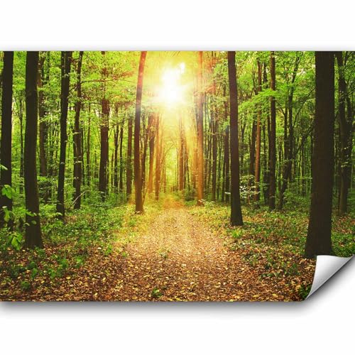 murando Fototapete 100x70 cm Vlies Tapeten Wandtapete XXL Moderne Wanddeko Design Wand Dekoration Wohnzimmer Schlafzimmer Büro Flur Wald Natur Landschaft c-B-0076-a-b von murando