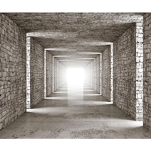 murando Fototapete 3D Tunnel 400x280 cm Vlies Tapeten Wandtapete XXL Moderne Wanddeko Design Wand Dekoration Wohnzimmer Schlafzimmer Büro Flur Mauer Ziegeloptik Abstrakt d-B-0409-a-a von murando