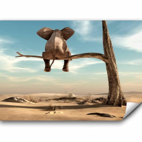 murando Fototapete Elefant auf dem Baum 100x70 cm Vlies Tapeten Wandtapete XXL Moderne Wanddeko Design Wand Dekoration Wohnzimmer Schlafzimmer Büro Flur Wüste Tier Abstrakt Natur Himmel g-B-0033-a-a von murando